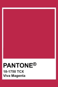 VIVA MAGENTA, la couleur Pantone 2023 pour votre thème de mariage