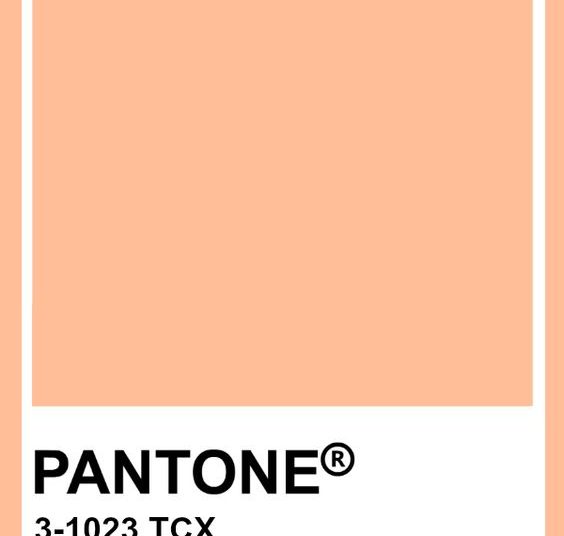 couleur pantone 2024 peach fuzz