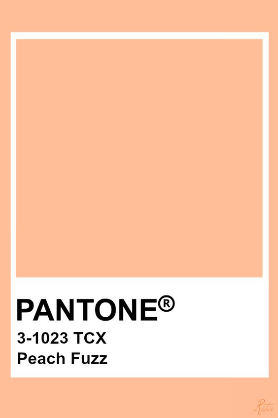 Mariage en Provence : Comment utiliser la couleur Pantone 2024 Peach Fuzz